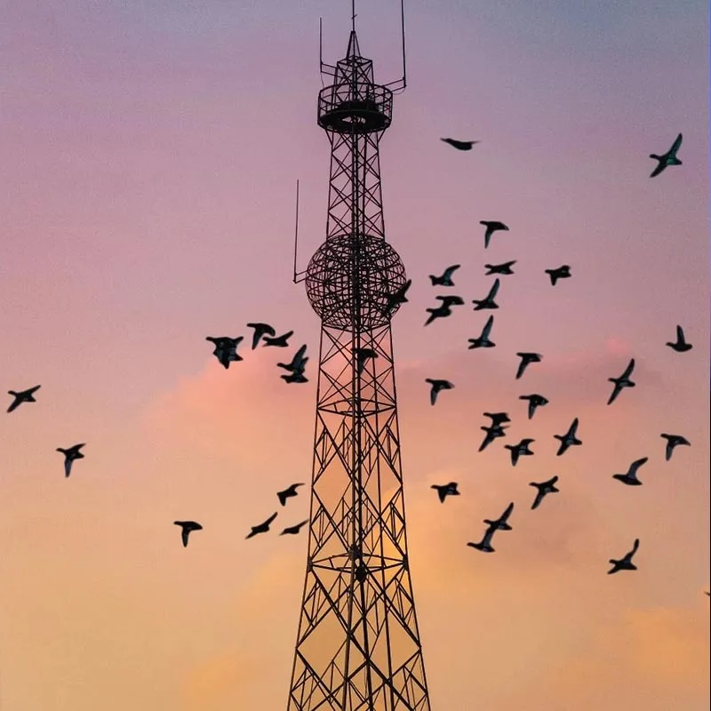 Camouflaged Signal Tower